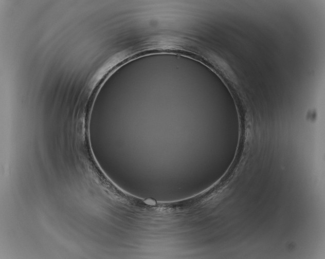 X0000113341226200909291022