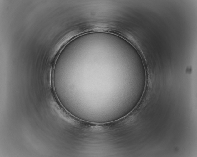 X0000113341227200909291022