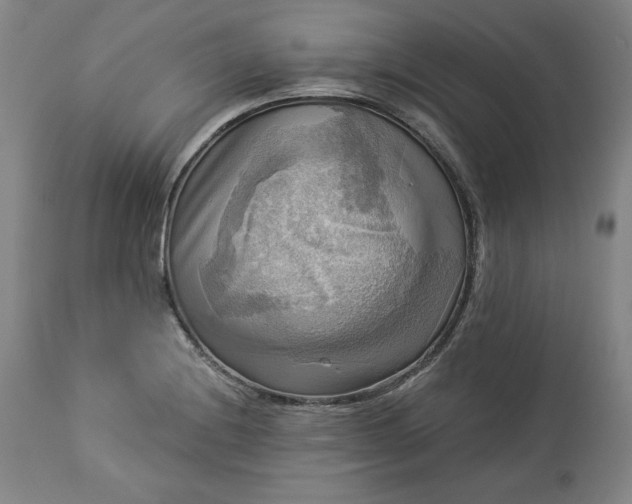 X0000113341228200909291022