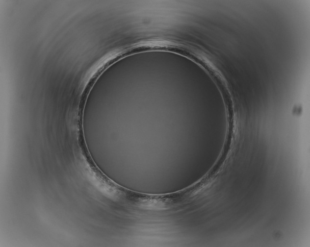 X0000113341229200909291022