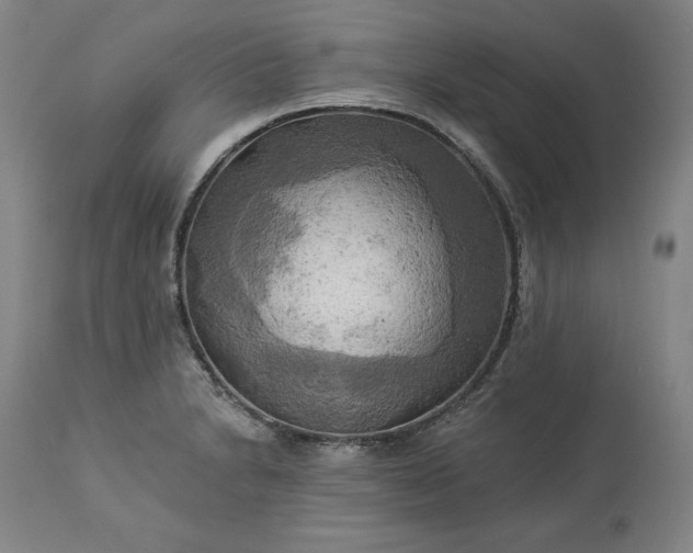 X0000113341230200909291022