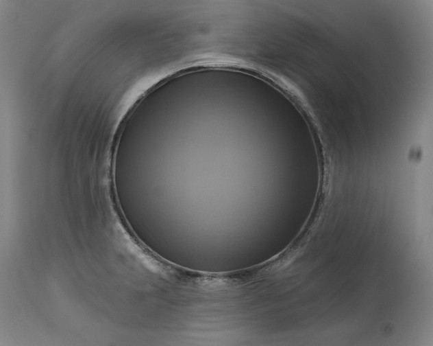 X0000113341231200909291022