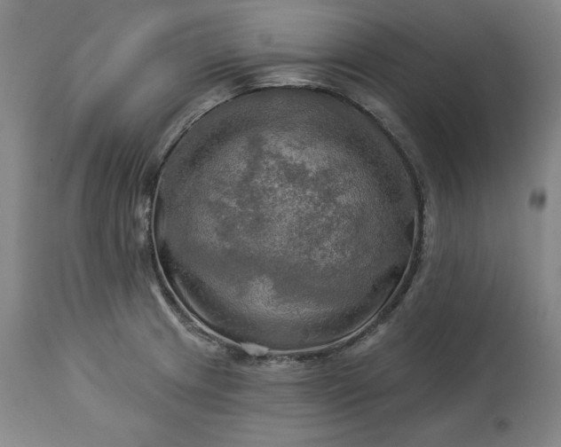 X0000113341233200909291022