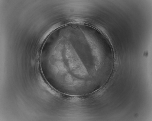 X0000113341235200909291022