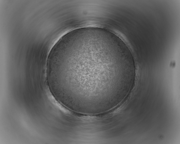 X0000113341236200909291022