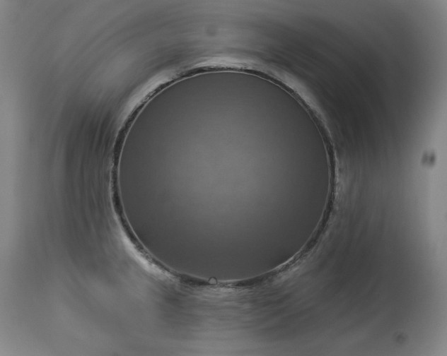 X0000113341237200909291022