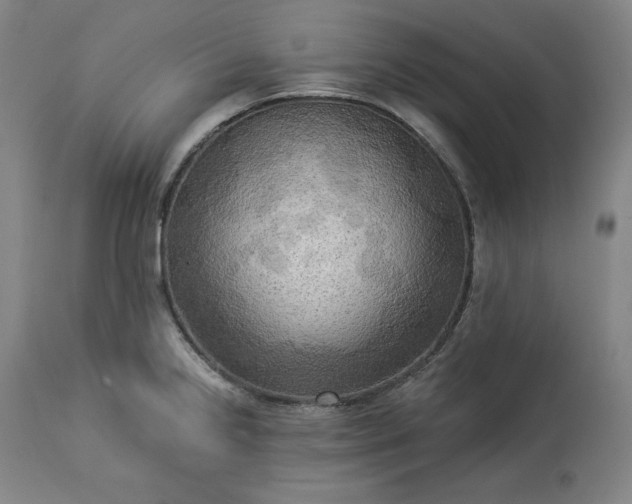 X0000113341238200909291022