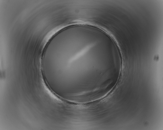 X0000113341239200909291022