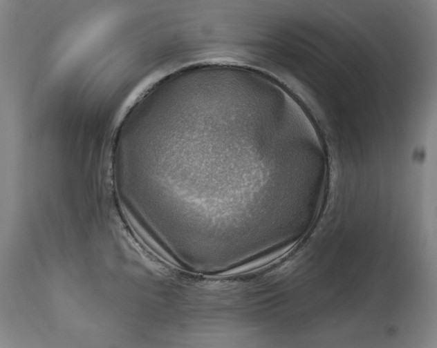 X0000113341240200909291022