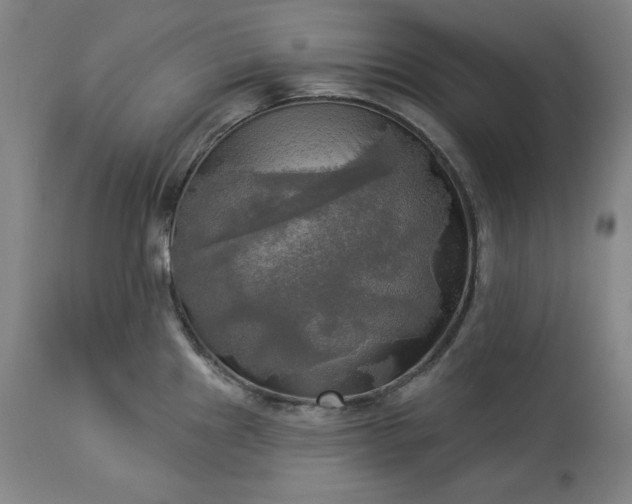 X0000113341241200909291022