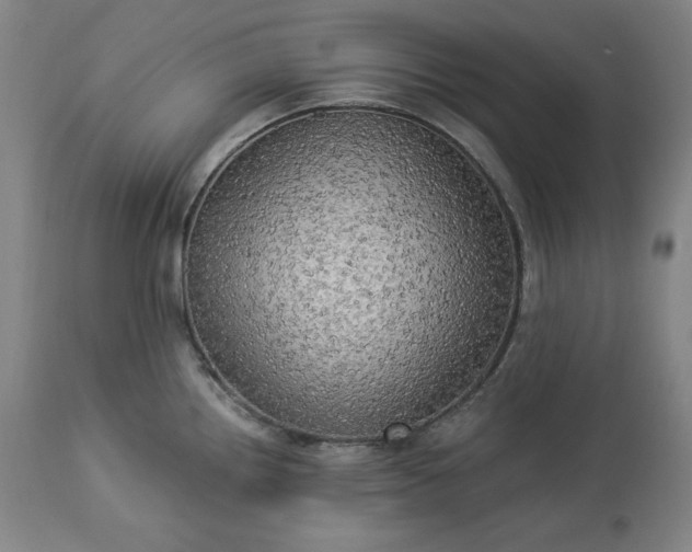 X0000113341242200909291022