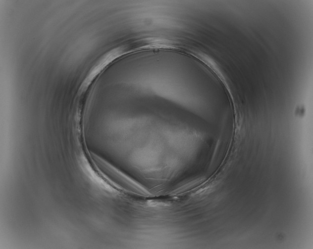 X0000113341243200909291022