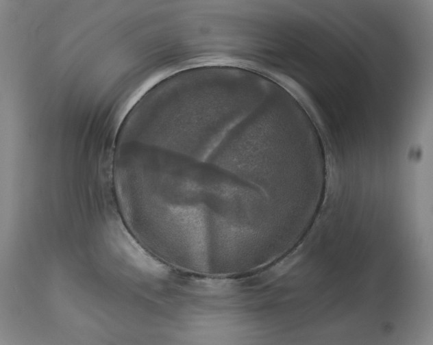 X0000113341244200909291022