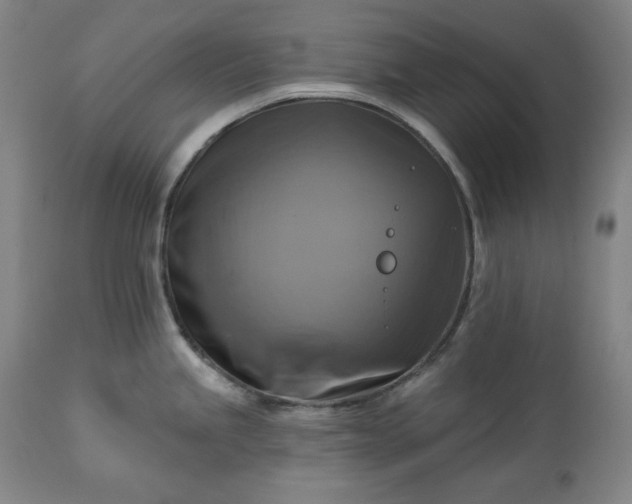 X0000113341245200909291022