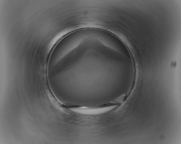 X0000113341246200909291022