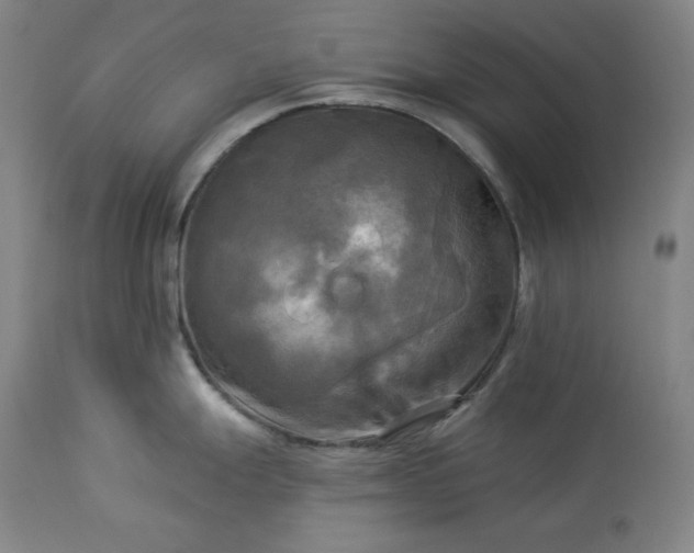 X0000113341247200909291022