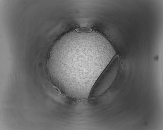 X0000113341249200909291022