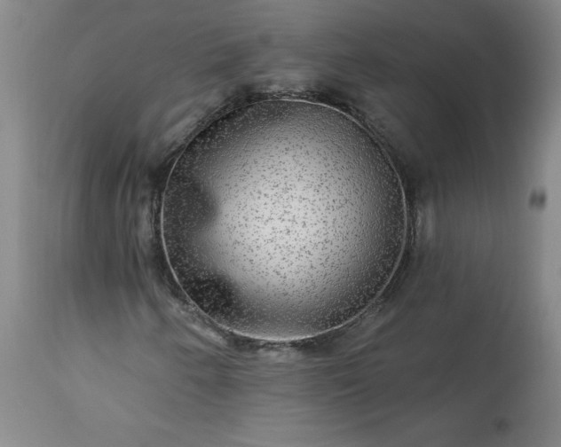 X0000113341250200909291022