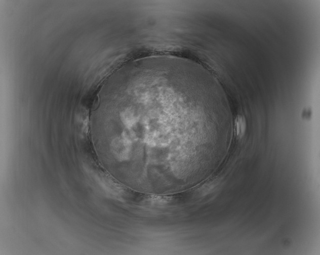 X0000113341251200909291022