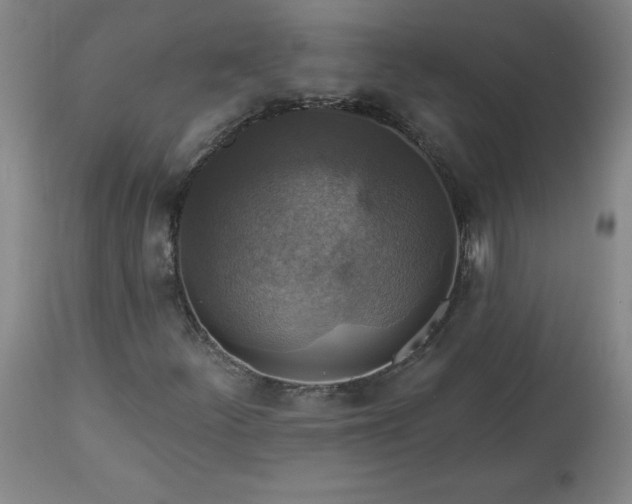 X0000113341252200909291022