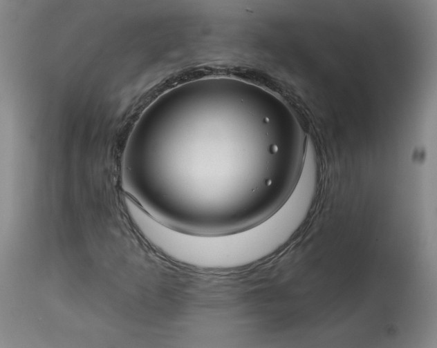 X0000113341253200909291022