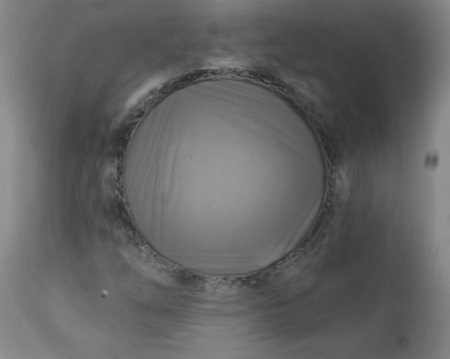 X0000113341254200909291022