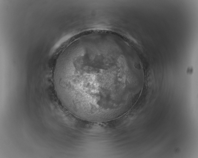 X0000113341255200909291021