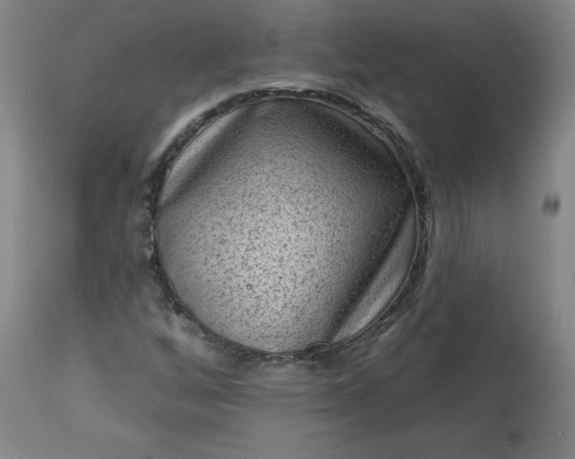 X0000113341256200909291021