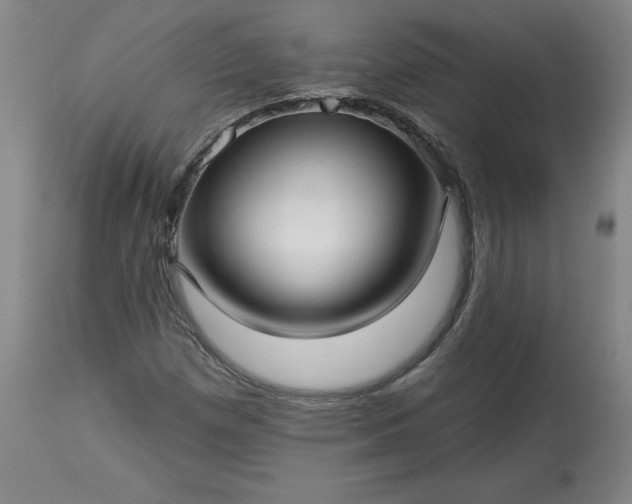 X0000113341257200909291021