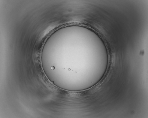 X0000113341258200909291021