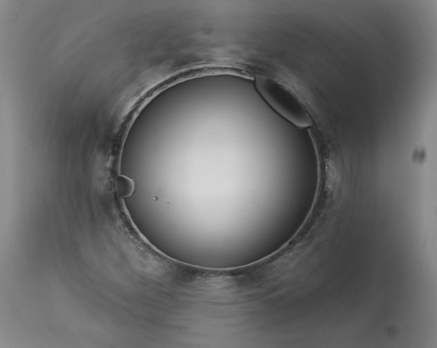 X0000113341260200909291021