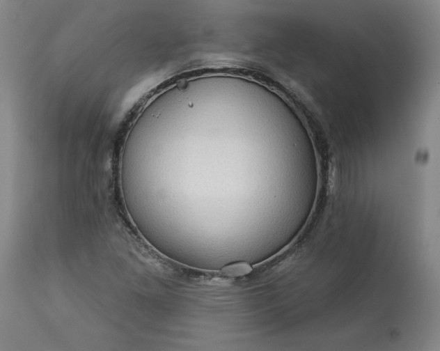 X0000113341261200909291021