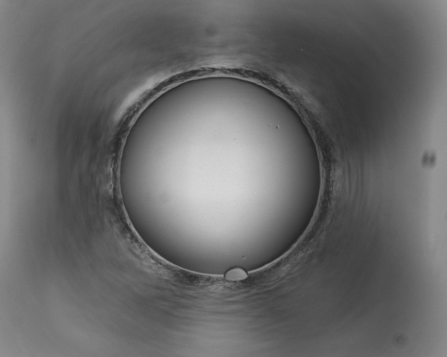 X0000113341262200909291021