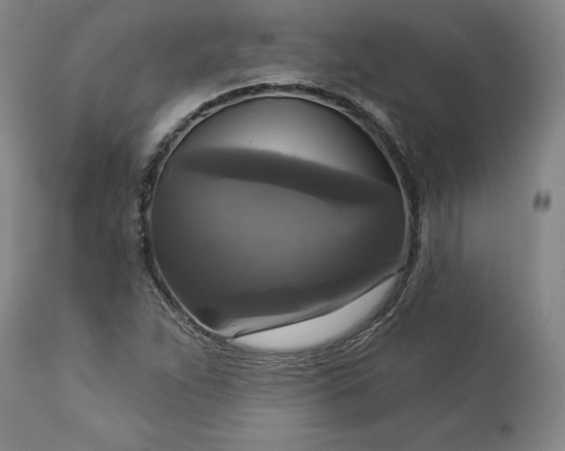 X0000113341263200909291021