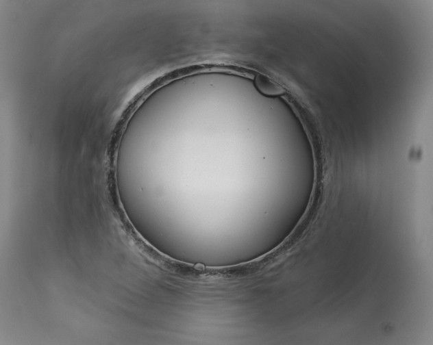 X0000113341264200909291021