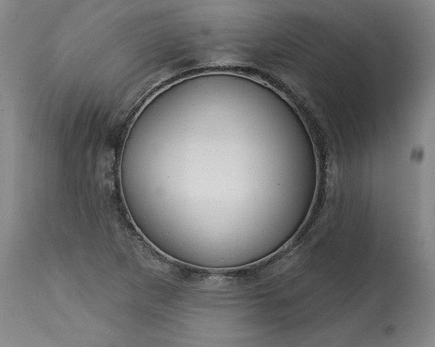 X0000113341265200909291021