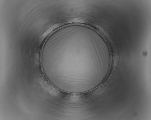 X0000113341266200909291021