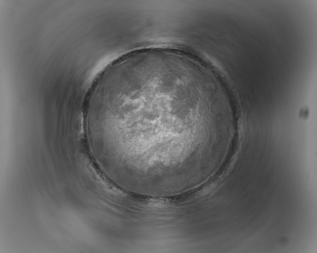 X0000113341267200909291021