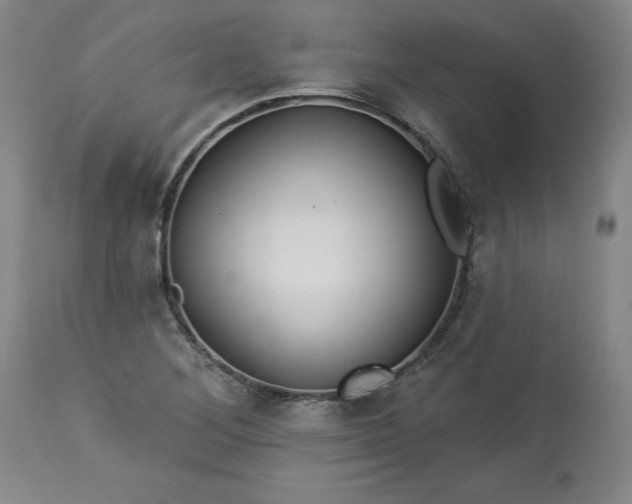 X0000113341268200909291021