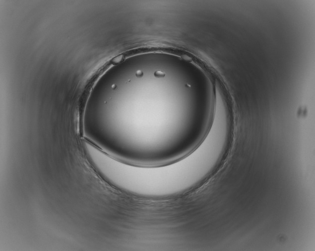 X0000113341269200909291021