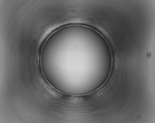 X0000113341270200909291021