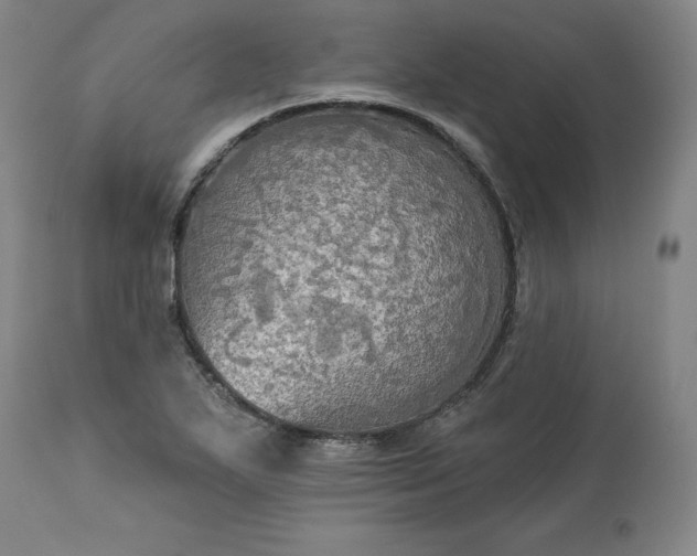 X0000113341271200909291021