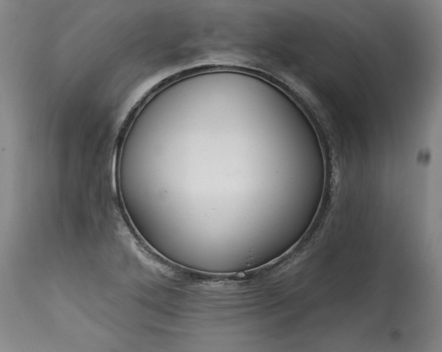 X0000113341272200909291021