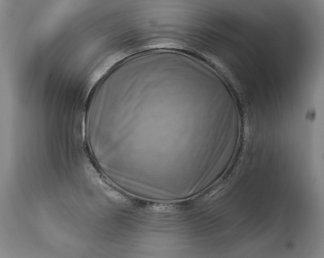 X0000113341274200909291021