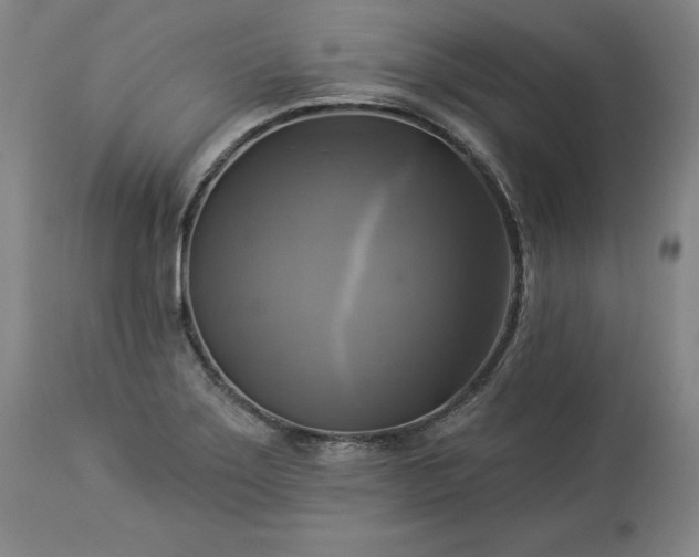 X0000113341275200909291021