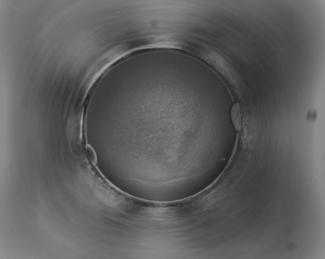 X0000113341276200909291021