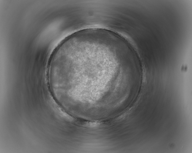 X0000113341278200909291021