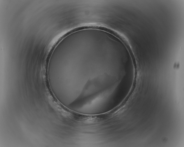 X0000113341279200909291021