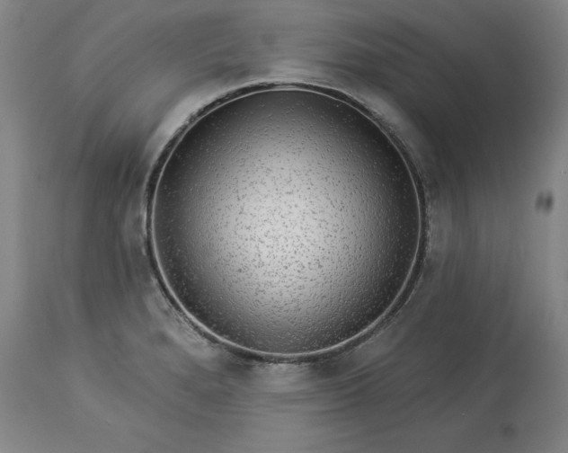 X0000113341280200909291021