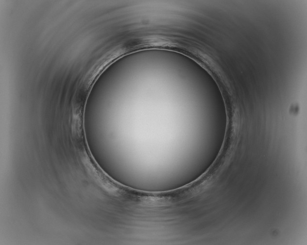 X0000113341281200909291021